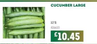 Bestway Cucumber large offer