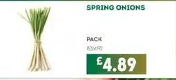 Bestway Spring onions offer