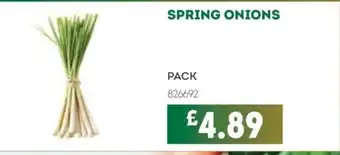 Bestway Spring onions offer
