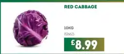Bestway Red cabbage offer