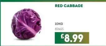 Bestway Red cabbage offer