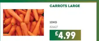Bestway Carrots large offer