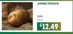 Bestway Jumbo potato offer