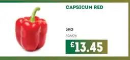 Bestway Capsicum red offer