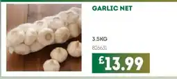Bestway Garlic net offer