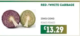 Bestway Red/white cabbage offer
