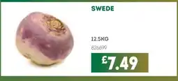 Bestway Swede offer