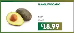 Bestway Haas avocado offer