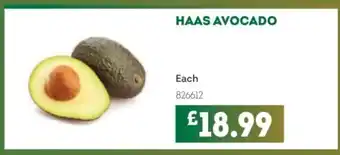 Bestway Haas avocado offer