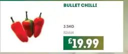Bestway Bullet chilli offer