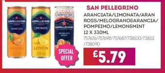 Bestway SAN PELLEGRINO Aranciata/limonata/aran ross/melograno&arancia/ pompeimo/lemon&mint offer
