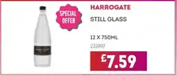 Bestway HARROGATE Still glass offer