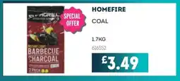 Bestway HOMEFIRE Coal offer