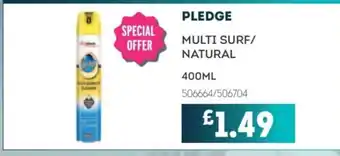 Bestway PLEDGE Multi surf/ natural offer