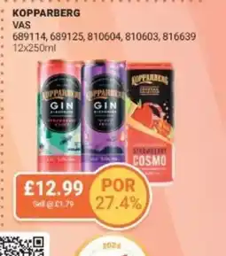 Bestway KOPPARBERG Vas offer