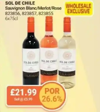 Bestway SOL DE CHILE Sauvignon Blanc/Merlot/Rose offer