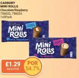 Bestway CADBURY MINI ROLLS Chocolate/Raspberry offer