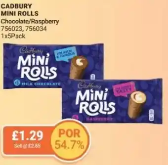 Bestway CADBURY MINI ROLLS Chocolate/Raspberry offer
