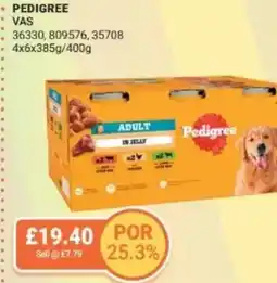 Bestway PEDIGREE offer