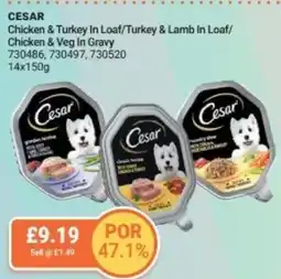 Bestway CESAR Chicken & Turkey In Loaf/Turkey & Lamb In Loaf/ Chicken & Veg In Gravy offer