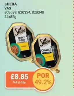 Bestway SHEBA offer