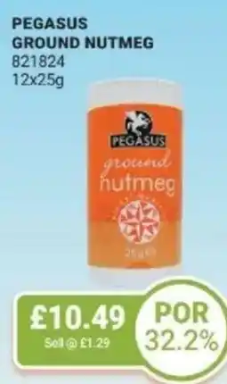 Bestway Pegasus ground nutmeg offer