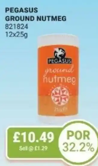 Bestway Pegasus ground nutmeg offer