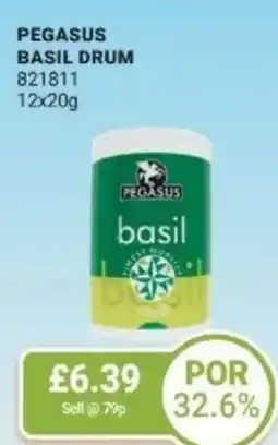Bestway Pegasus basil drum offer