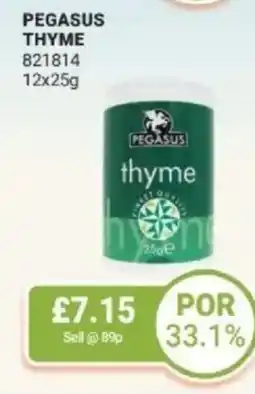 Bestway Pegasus thyme offer