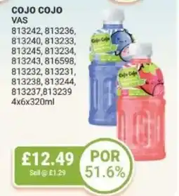 Bestway COJO COJO offer