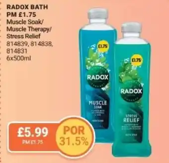 Bestway RADOX BATH Muscle Soak/ Muscle Therapy/ Stress Relief offer