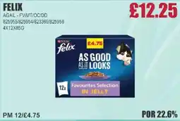 Bestway FELIX Agail - fv/mt/oc/dd offer