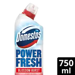 Tesco Domestos Power Fresh Toilet Gel Blossom Burst Limited Edition 750ml offer