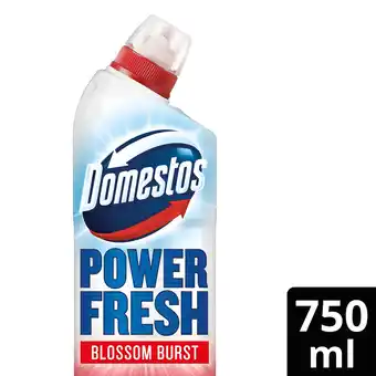 Tesco Domestos Power Fresh Toilet Gel Blossom Burst Limited Edition 750ml offer