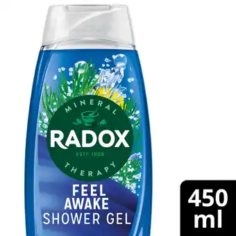 Tesco Radox Sea Minerals Feel Awake 2-in-1 Shower Gel Body Wash Shampoo 450ml offer
