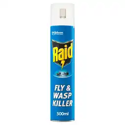 Tesco Raid Rapid Action Fly & Wasp Killer 300ml offer