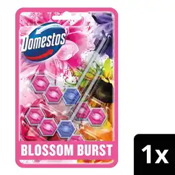 Tesco Domestos Power 5 Toilet Rim Block Blossom Burst 2x50g offer