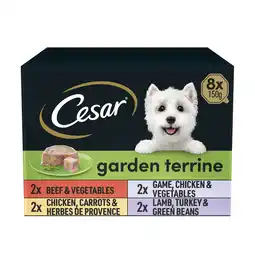 Tesco Cesar Garden Terrine Wet Dog Food Tray Mixed in Loaf 8x150g offer