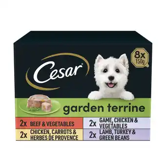 Tesco Cesar Garden Terrine Wet Dog Food Tray Mixed in Loaf 8x150g offer