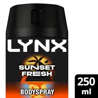 Tesco Lynx Deodorant Bodyspray Sunset Fresh 250ml offer