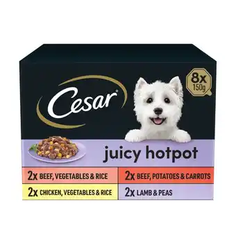 Tesco Cesar Juicy Hotpot Wet Dog Food Tray Mixed in Gravy 8x150g offer