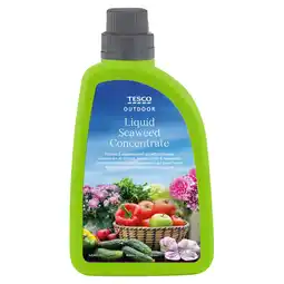 Tesco Tesco Liquid Seaweed Plant Feed 1 litre offer