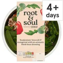 Tesco Root & Soul Tenderstem broccoli & mangetout with an aromatic black bean dressing 380g offer