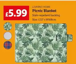 Lidl LIVARNO HOME Picnic Blanket offer