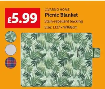 Lidl LIVARNO HOME Picnic Blanket offer