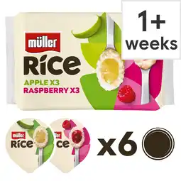 Tesco Muller Rice Low Fat Dessert - Apple & Raspberry 6 x 170g offer