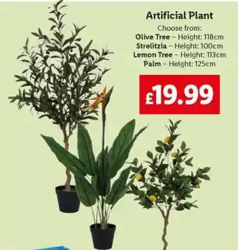 Lidl Artificial Plant offer