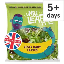 Tesco Unbeleafable Zesty Baby Leaves 80g offer