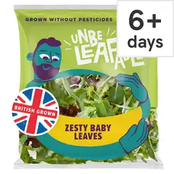 Tesco Unbeleafable Zesty Baby Leaves 80g offer