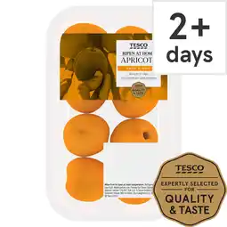 Tesco Tesco Apricots 320G offer